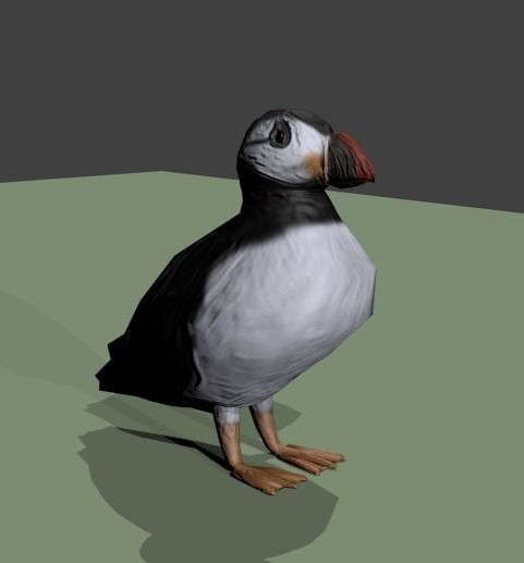 Puffin bird Low-poly 3D model_1