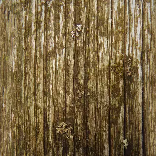Dark wood texture seamless Texture