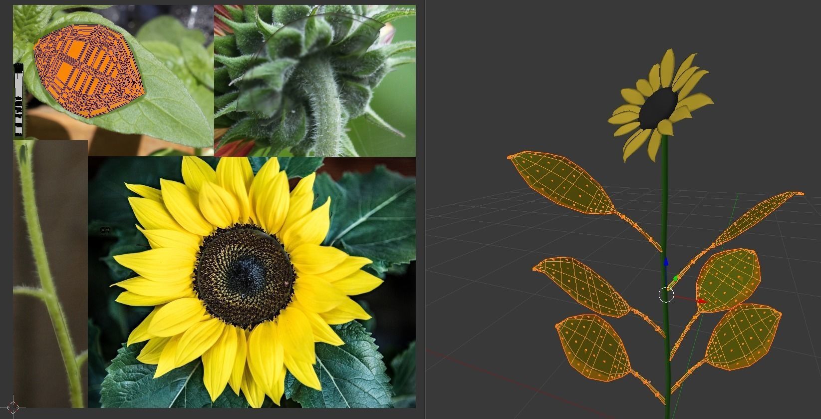 Sunflower Low-poly 3D model_13