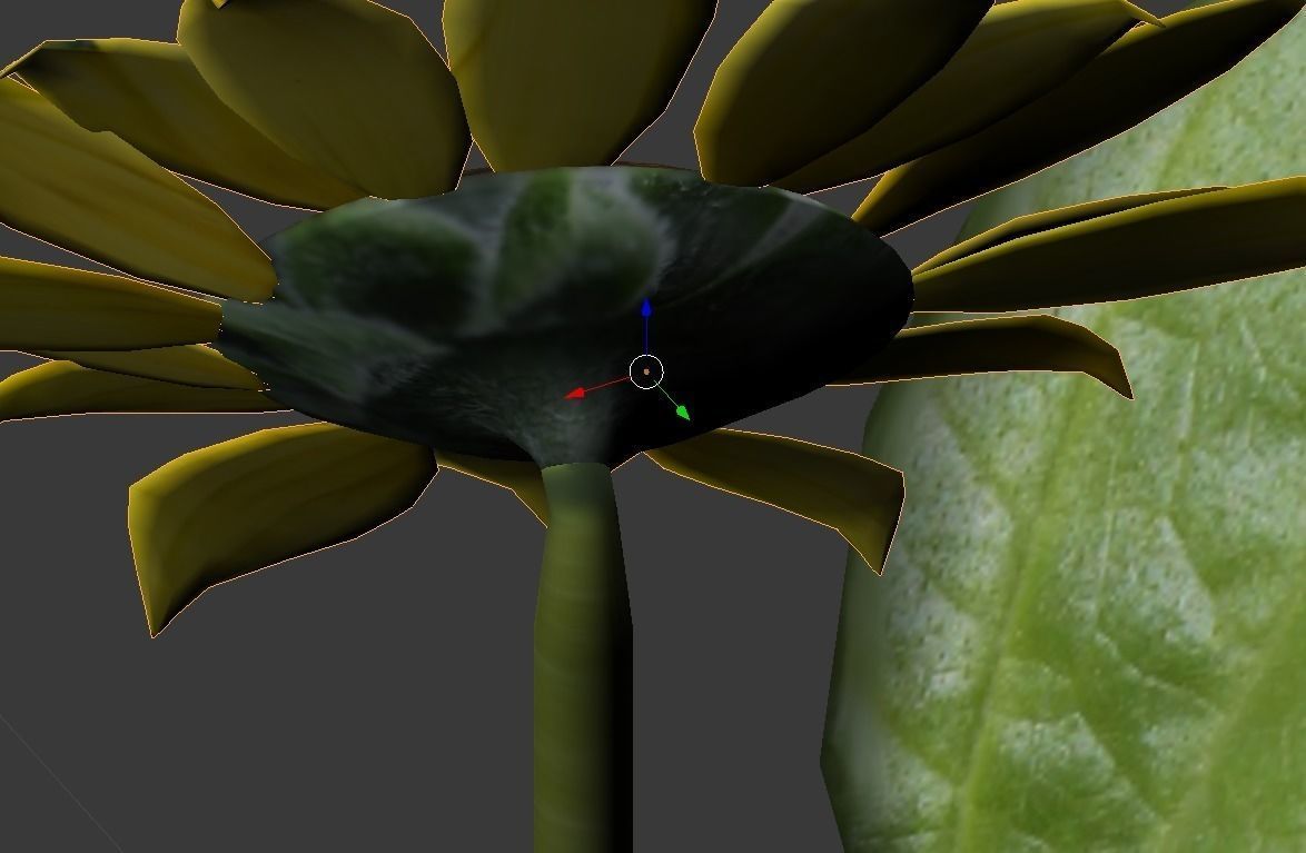 Sunflower Low-poly 3D model_4