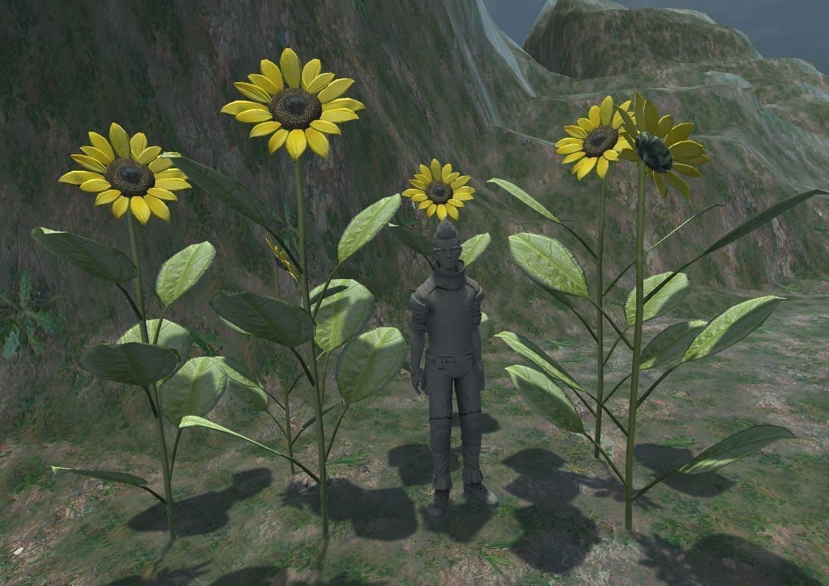 Sunflower Low-poly 3D model_14
