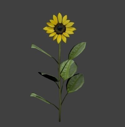 Sunflower Low-poly 3D model_1
