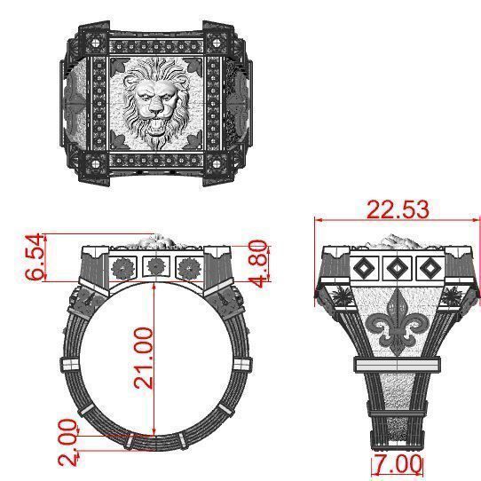 Ring with Lion and heraldic lilies veni vidi vici 3D print model_7