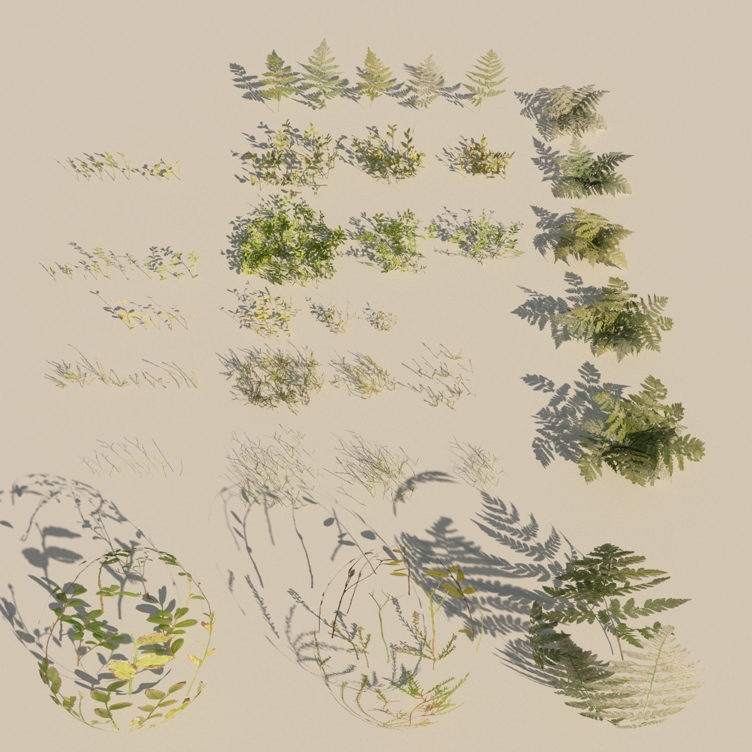 nordic forest plants A collection Low-poly 3D model_7