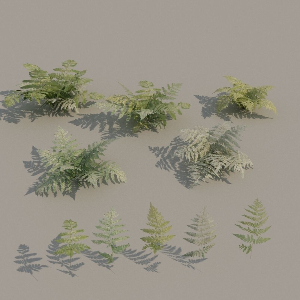 nordic forest plants A collection Low-poly 3D model_1