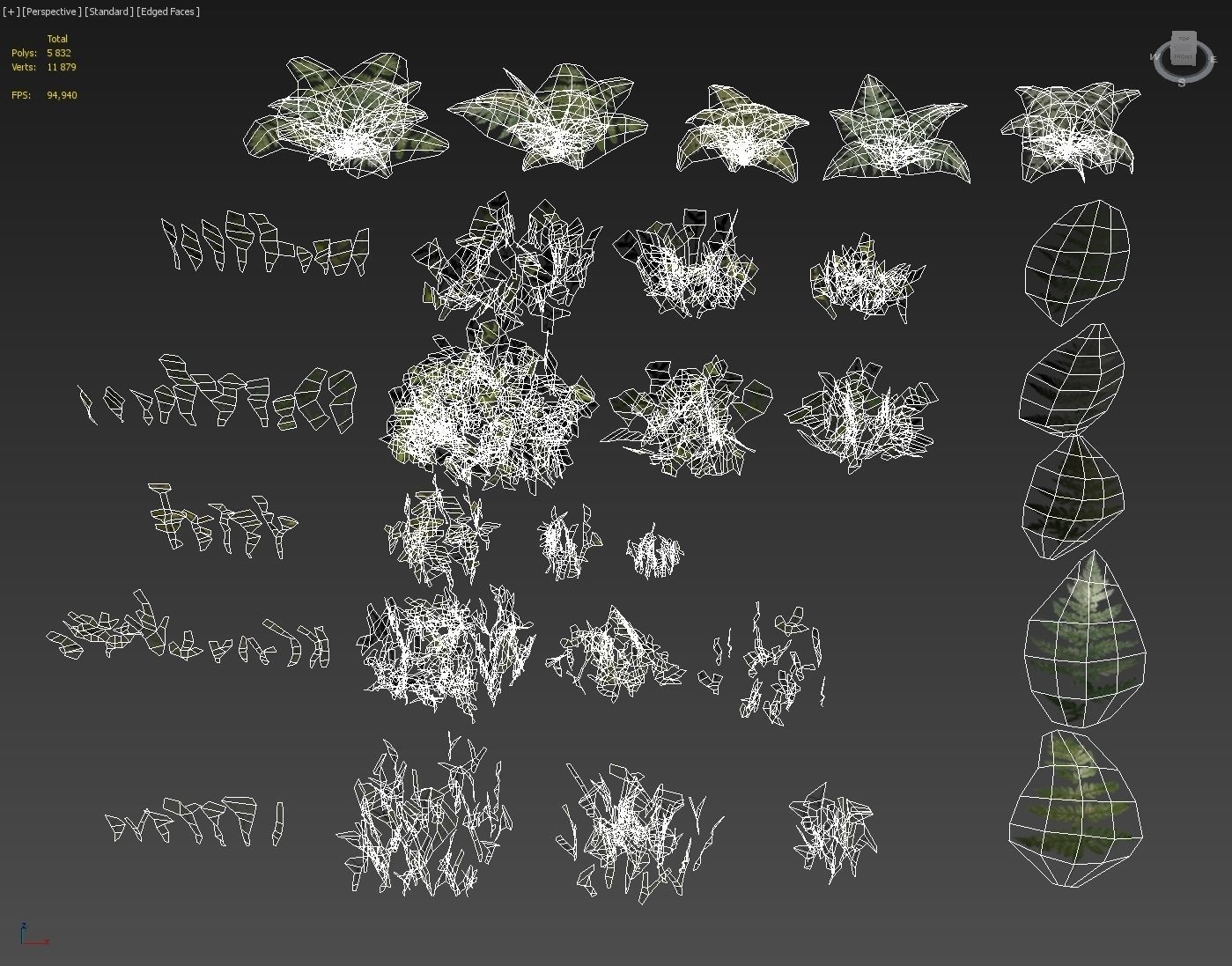 nordic forest plants A collection Low-poly 3D model_9