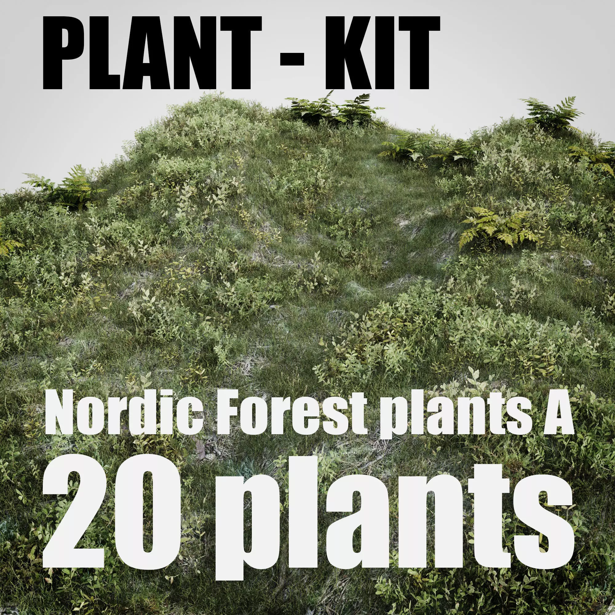 nordic forest plants A collection Low-poly 3D model_0