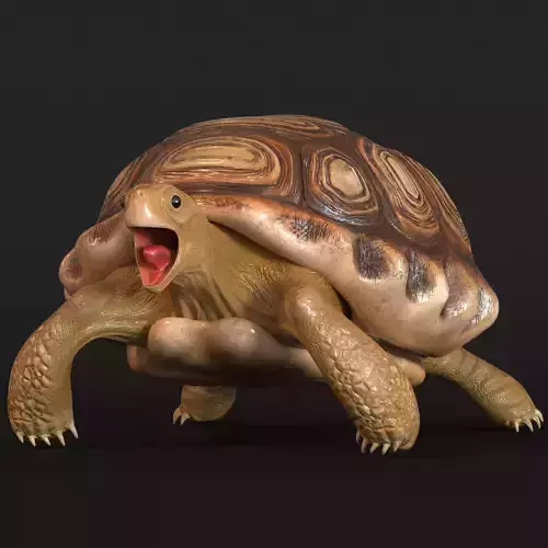 Turtle tortoise Low-poly 3D model