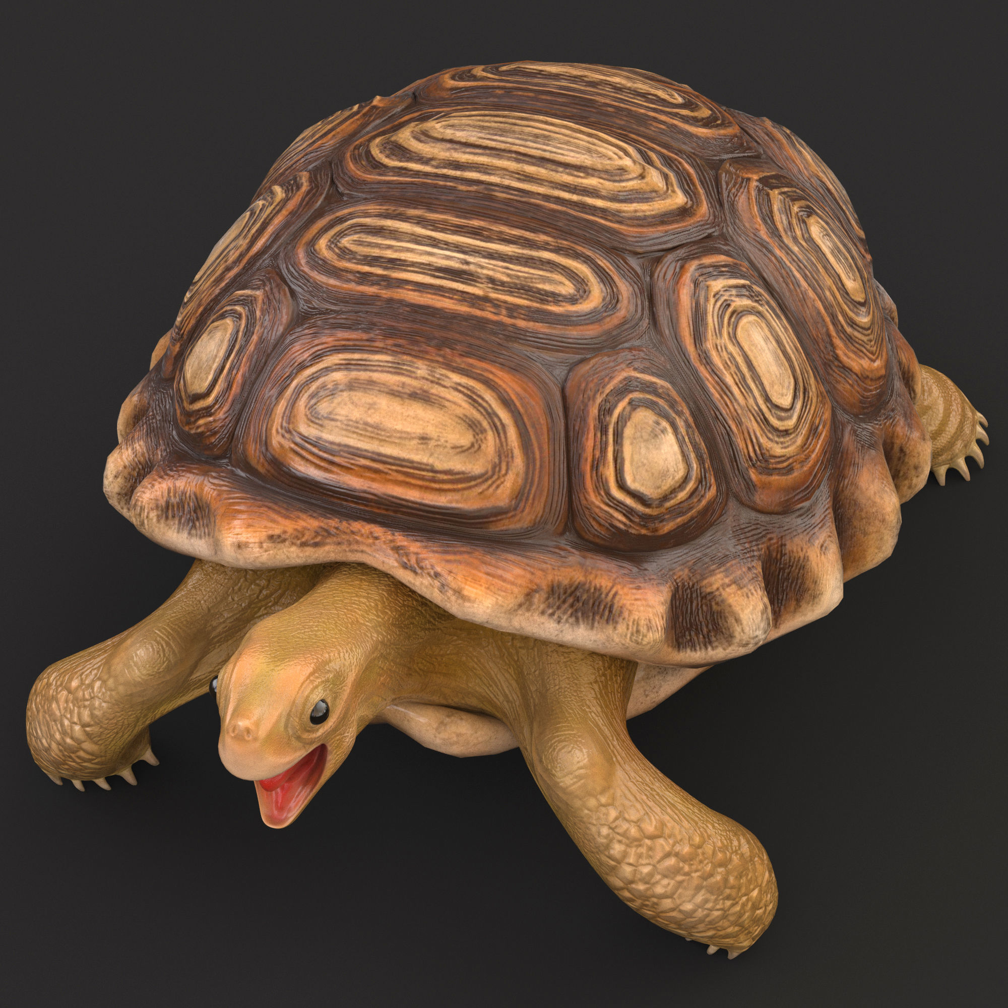 Turtle tortoise Low-poly 3D model_6