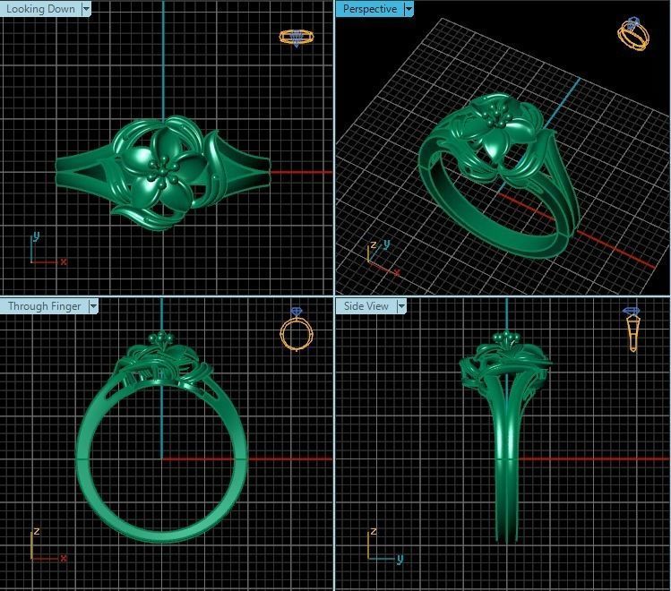 Ring T00202 3D print model_2