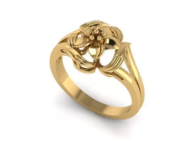 Ring T00202 3D print model_0
