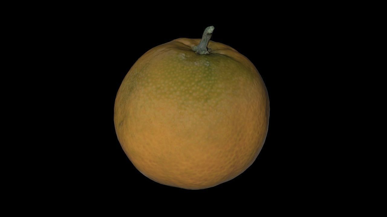 Tangerine - PBR orange Low-poly 3D model_3