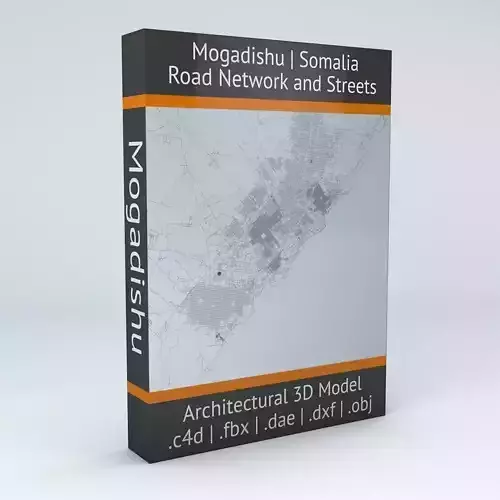Mogadishu Road Network and Streets 3D model