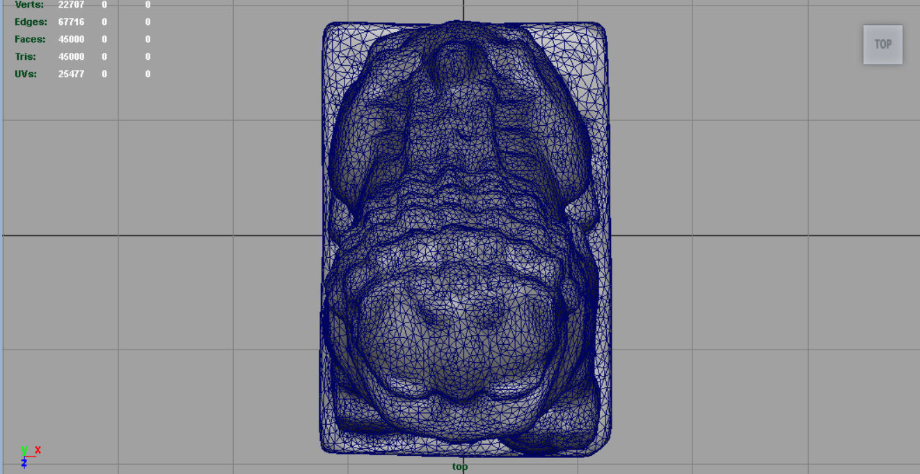 FU LIONS Low-poly 3D model_9