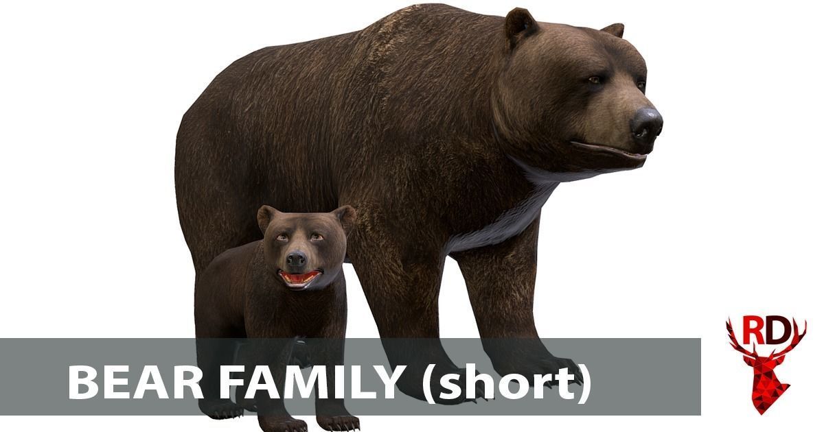 Forest animals 1 Low-poly 3D model_5