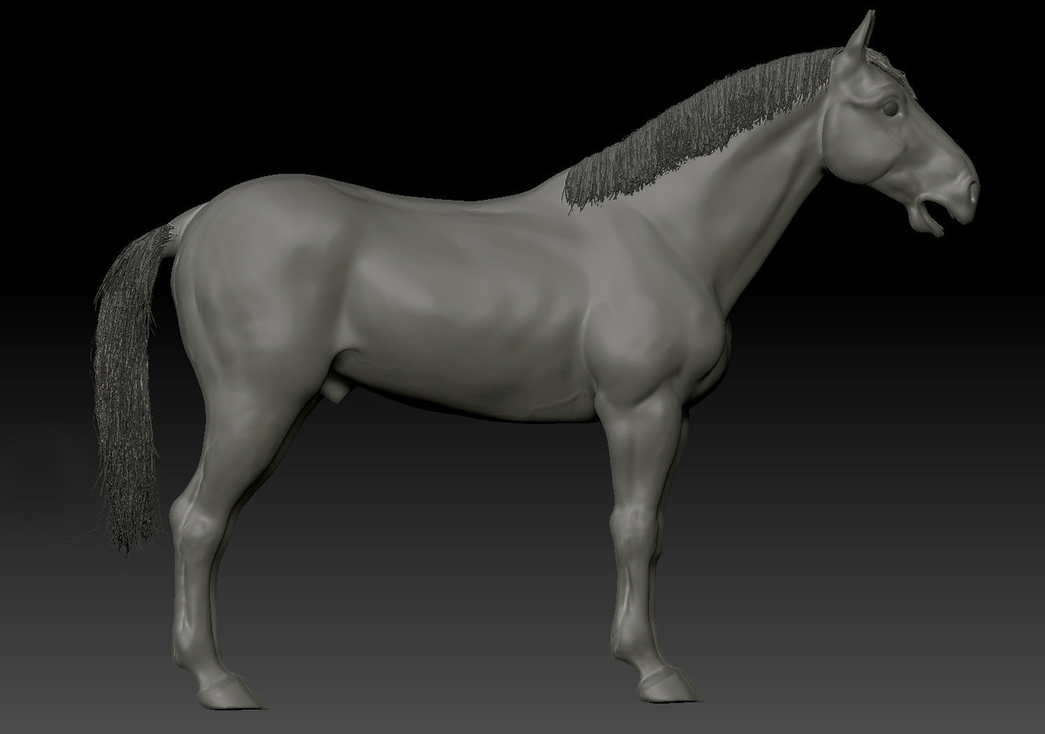 Horse 3D model_5