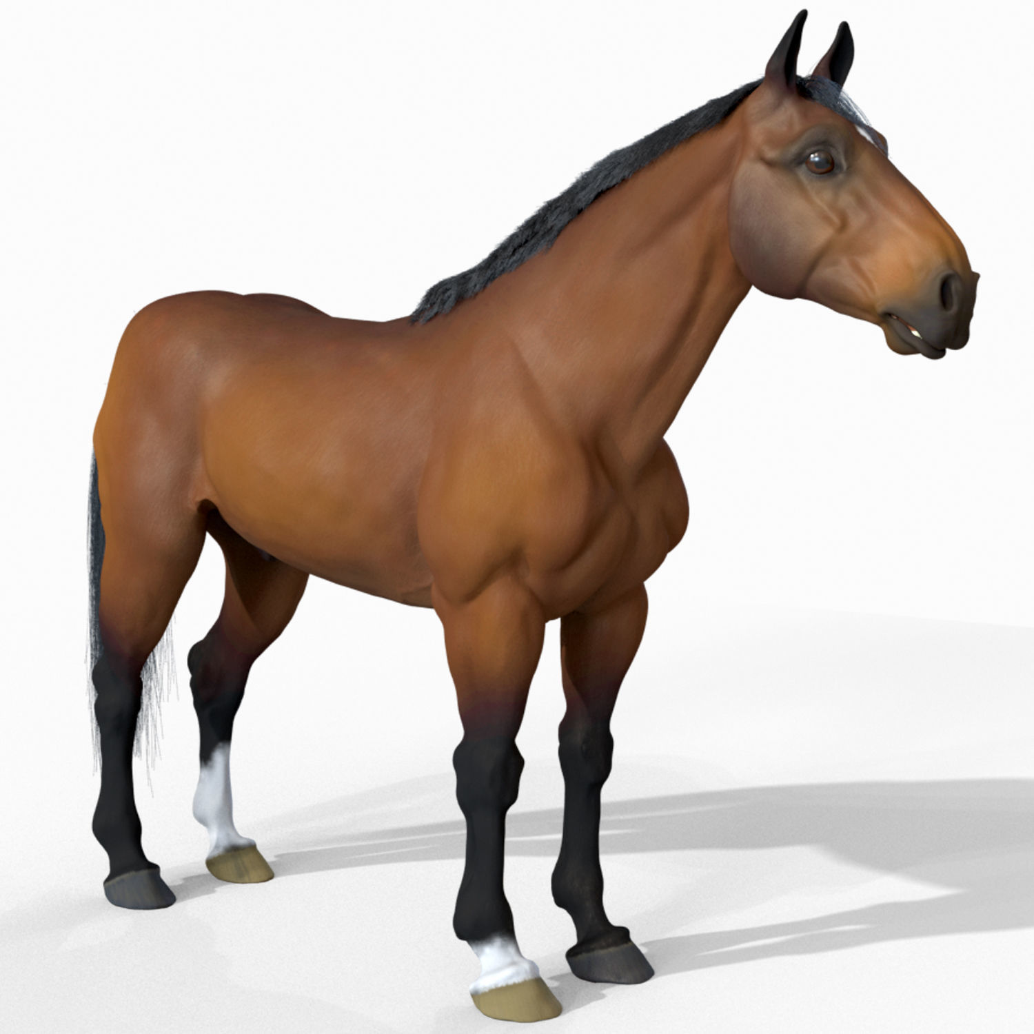 Horse 3D model_2