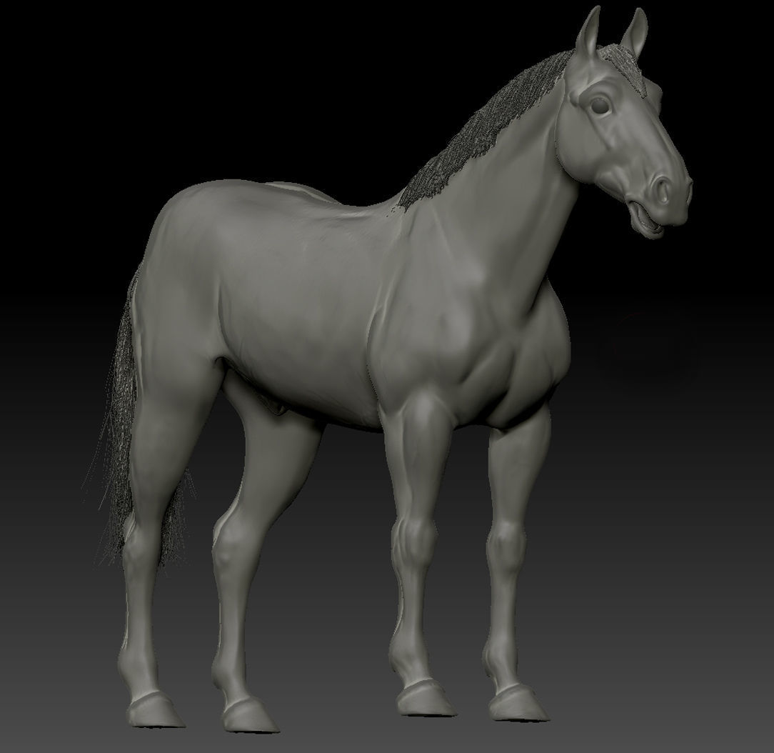 Horse 3D model_7