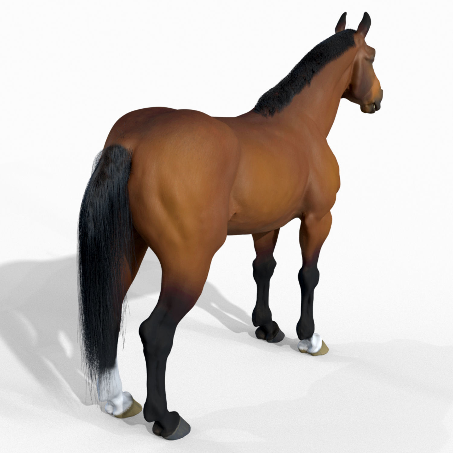 Horse 3D model_4