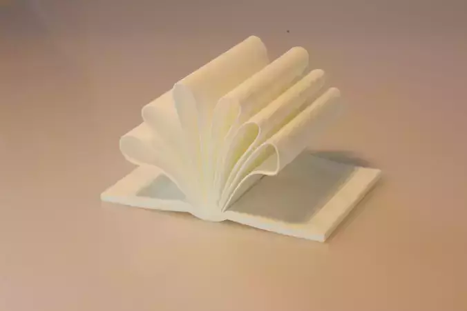 The book of doc Free 3D print model