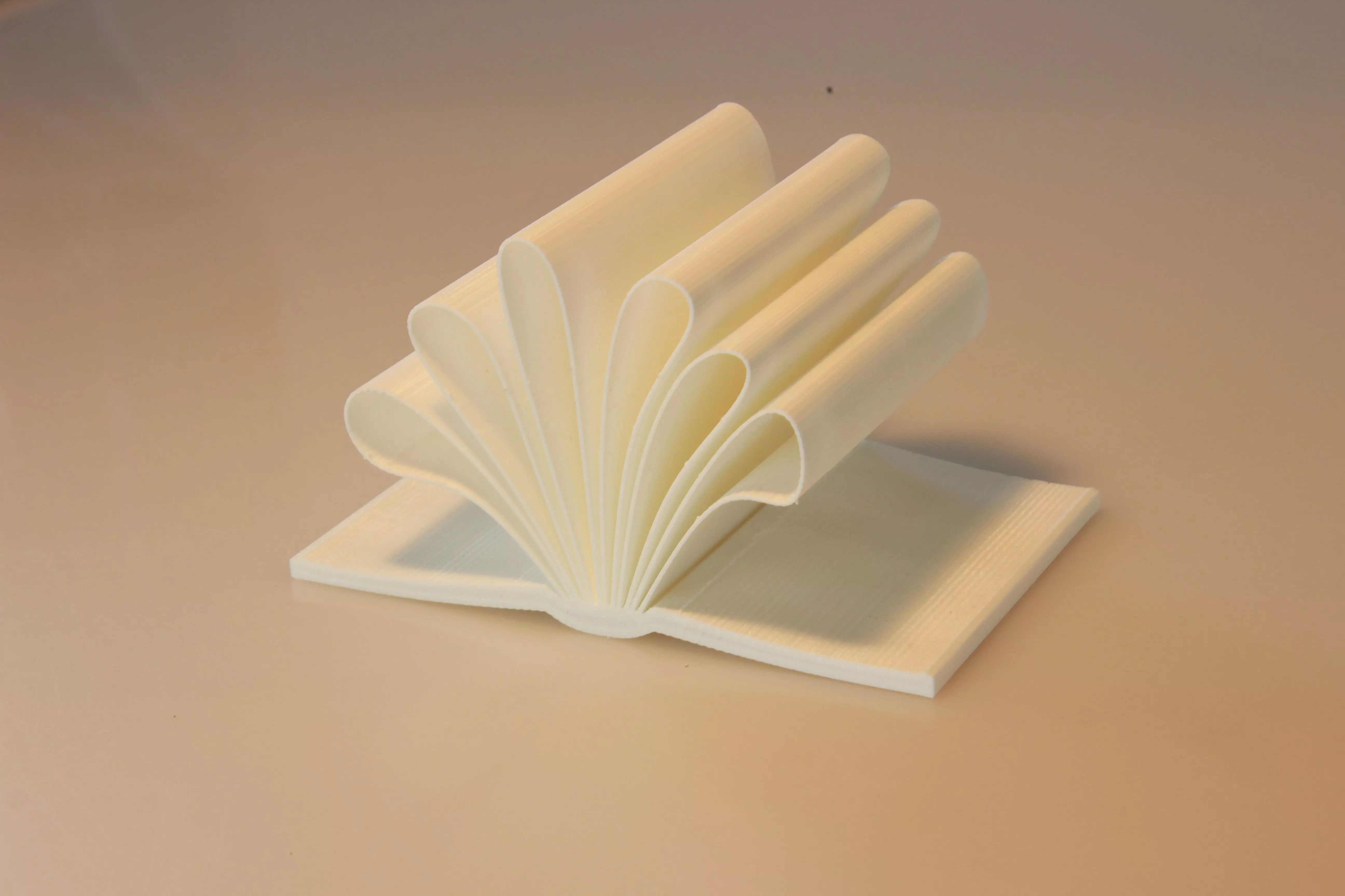 The book of doc Free 3D print model_0
