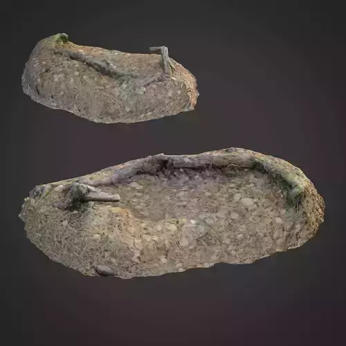 3d scanned nature forest stuff 010