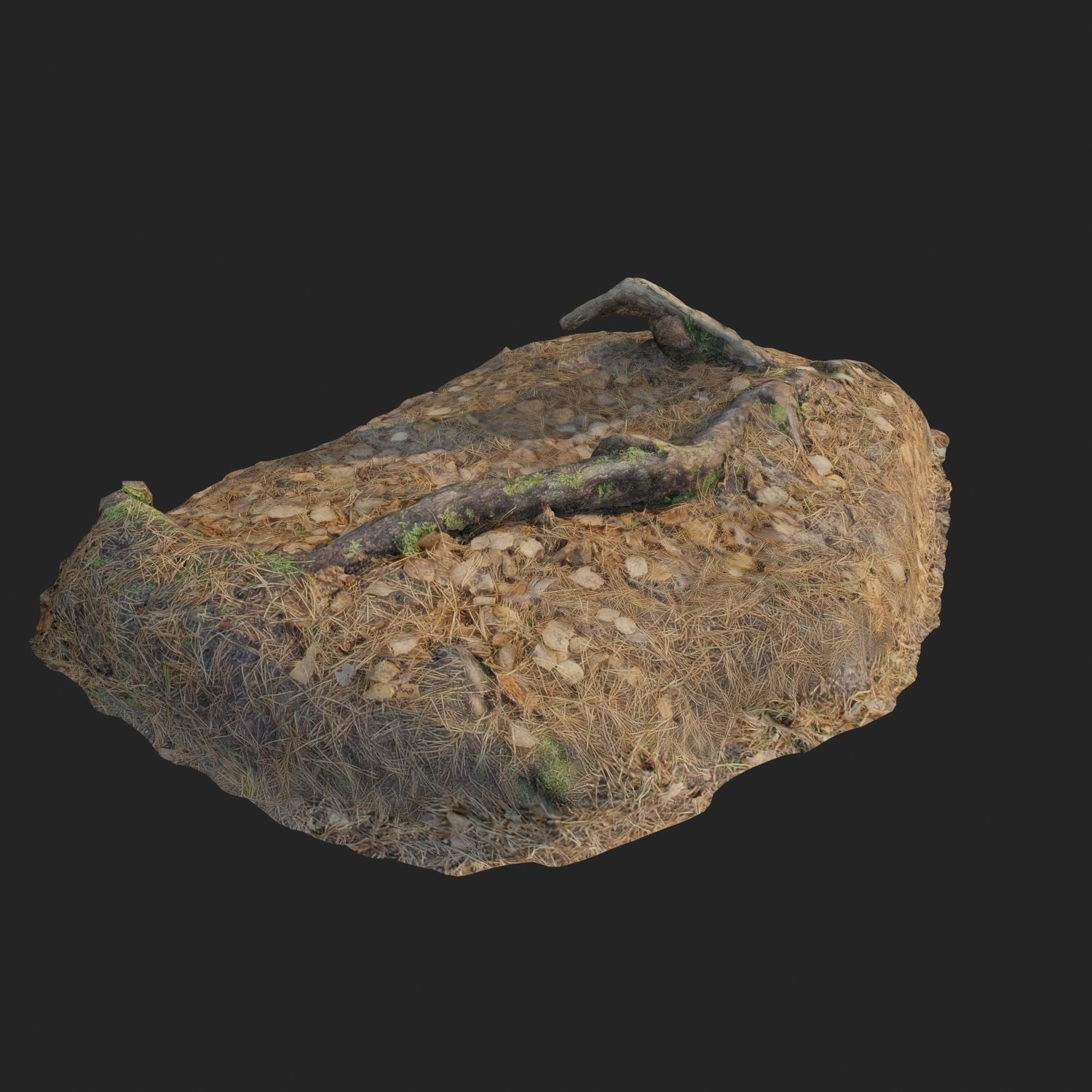 3d scanned nature forest stuff 010 Low-poly 3D model_2