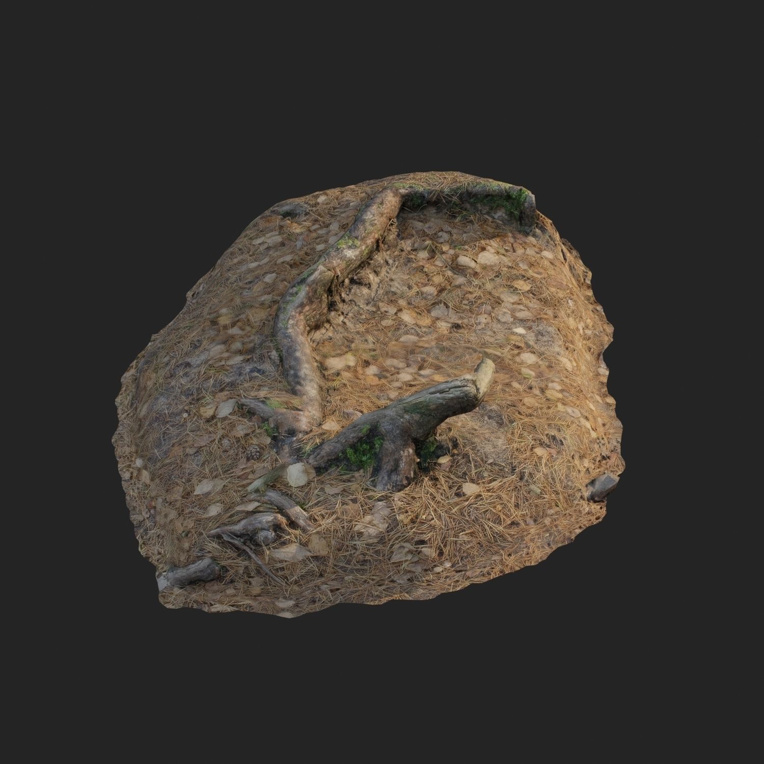 3d scanned nature forest stuff 010 Low-poly 3D model_1