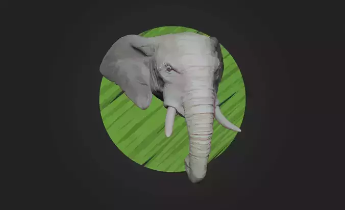 African Elephant Head - High Poly