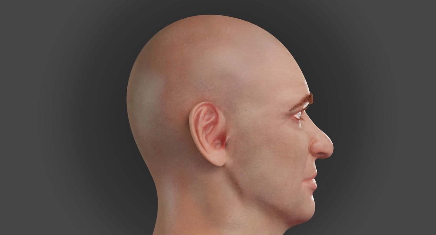 Male Head 3D model_8