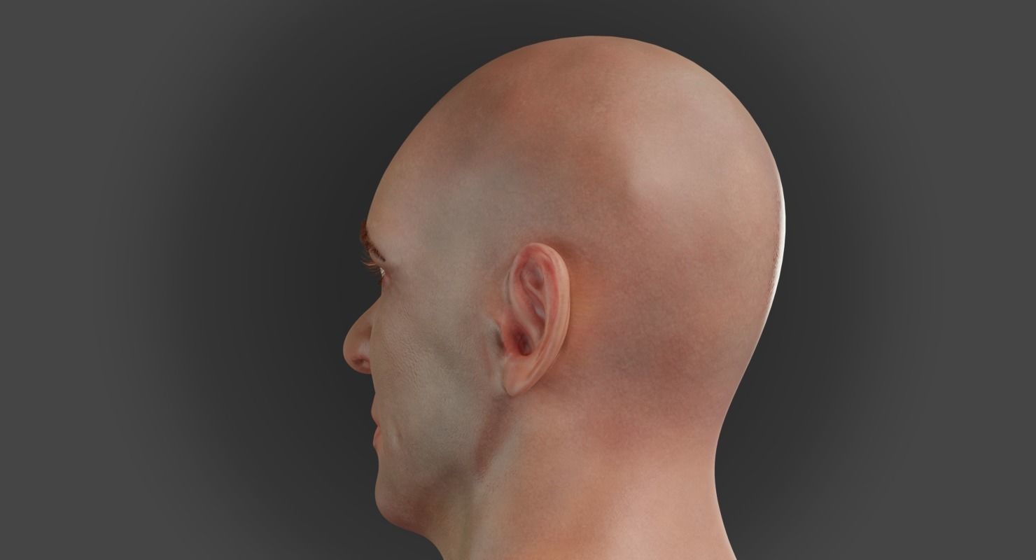 Male Head 3D model_3