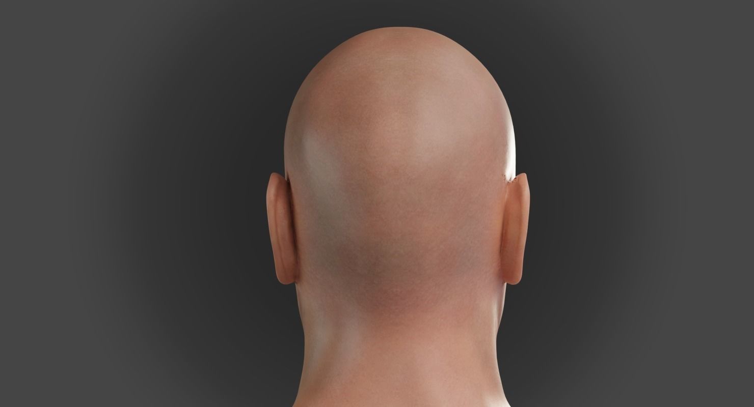 Male Head 3D model_5