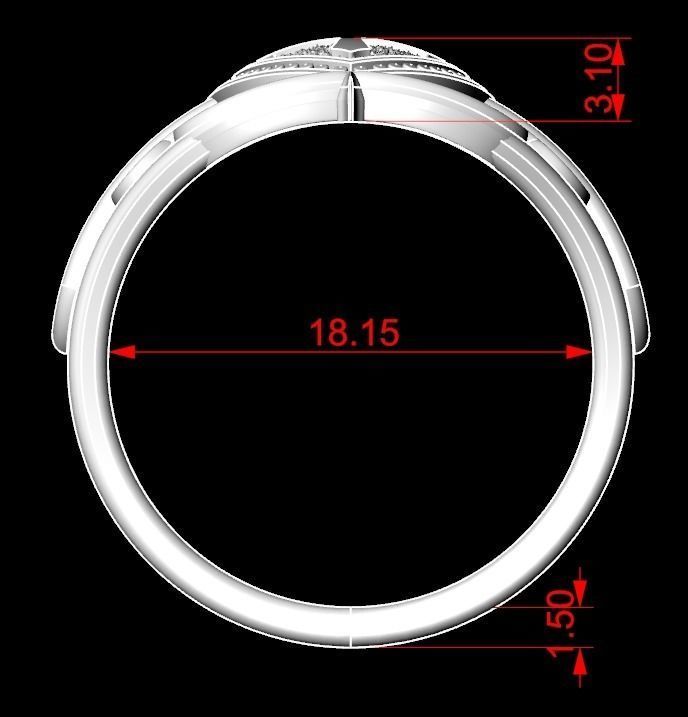 Ring shield with cross and patterns many size 221 3D print model_16