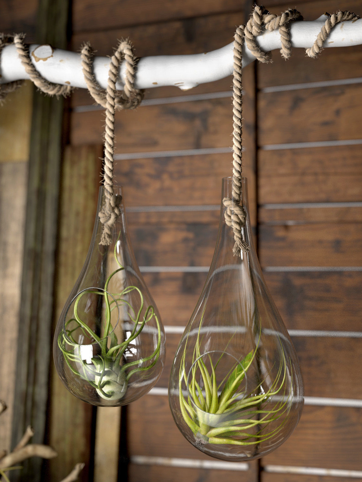 BeInspiration 31 3D model_1