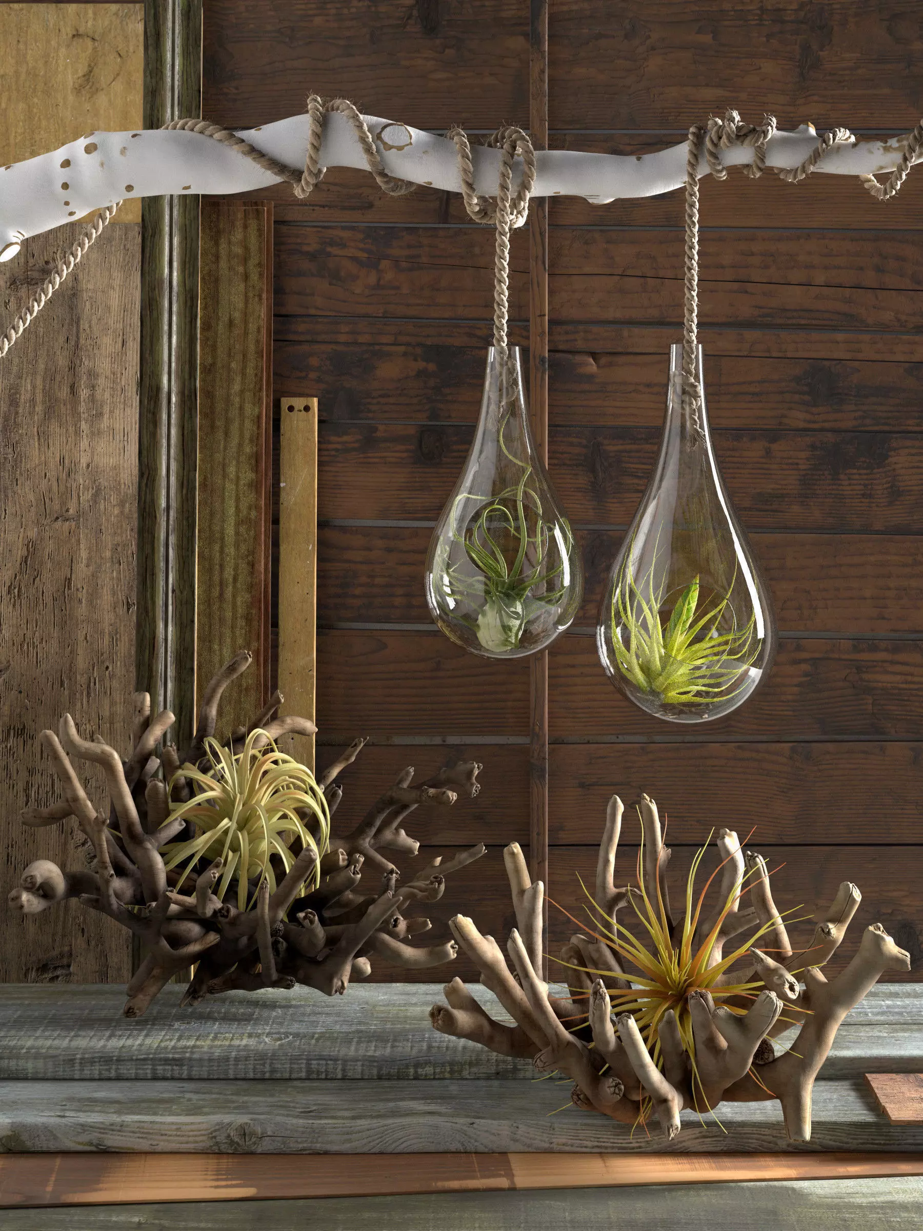 BeInspiration 31 3D model_0