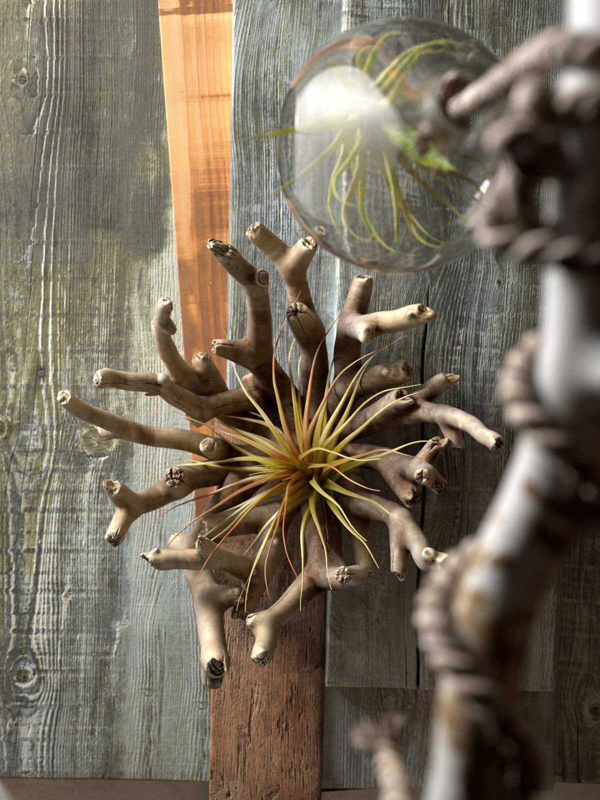 BeInspiration 31 3D model_4