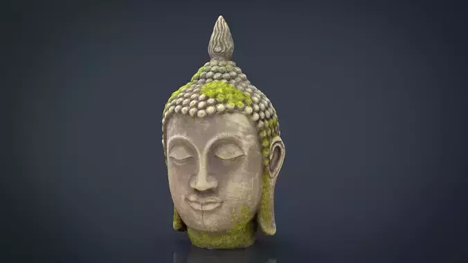 Ancient Buddha Head