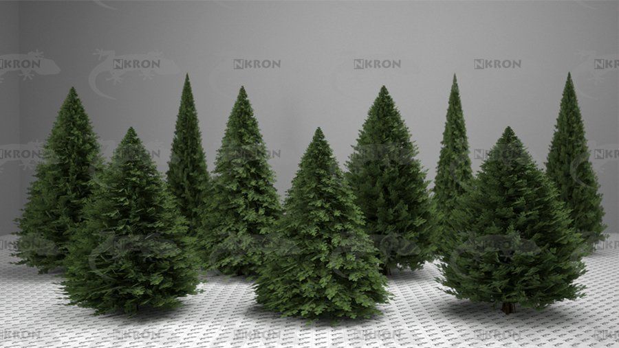 Christmas tree collection 3D model_2