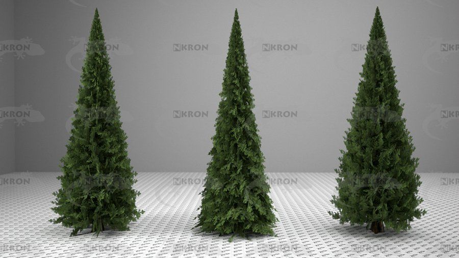 Christmas tree collection 3D model_5