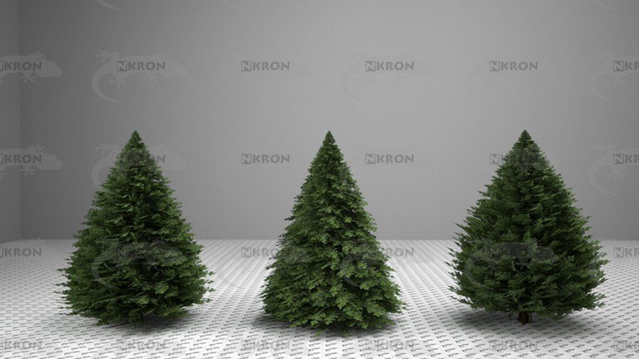 Christmas tree collection 3D model_6