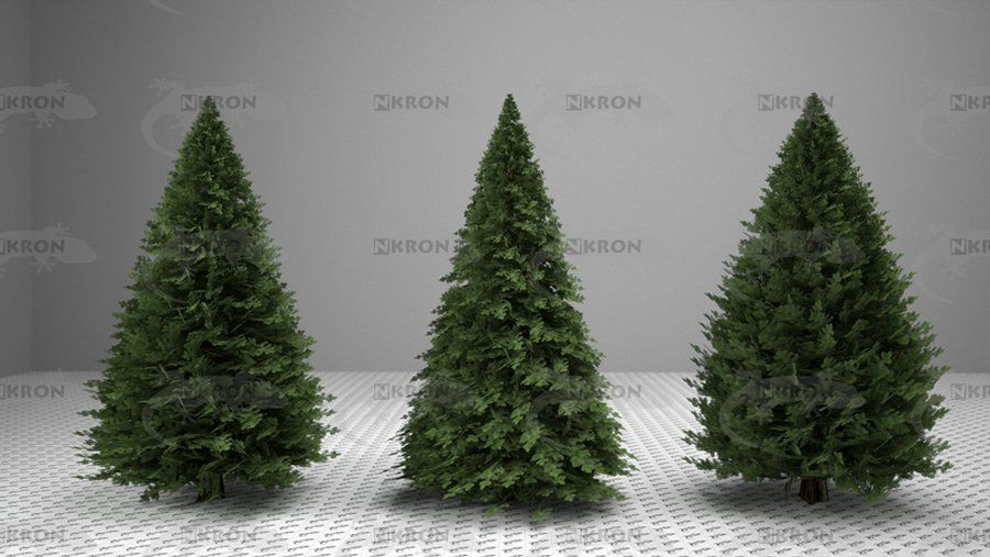 Christmas tree collection 3D model_1