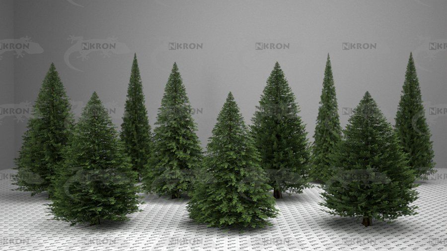 Christmas tree collection 3D model_4
