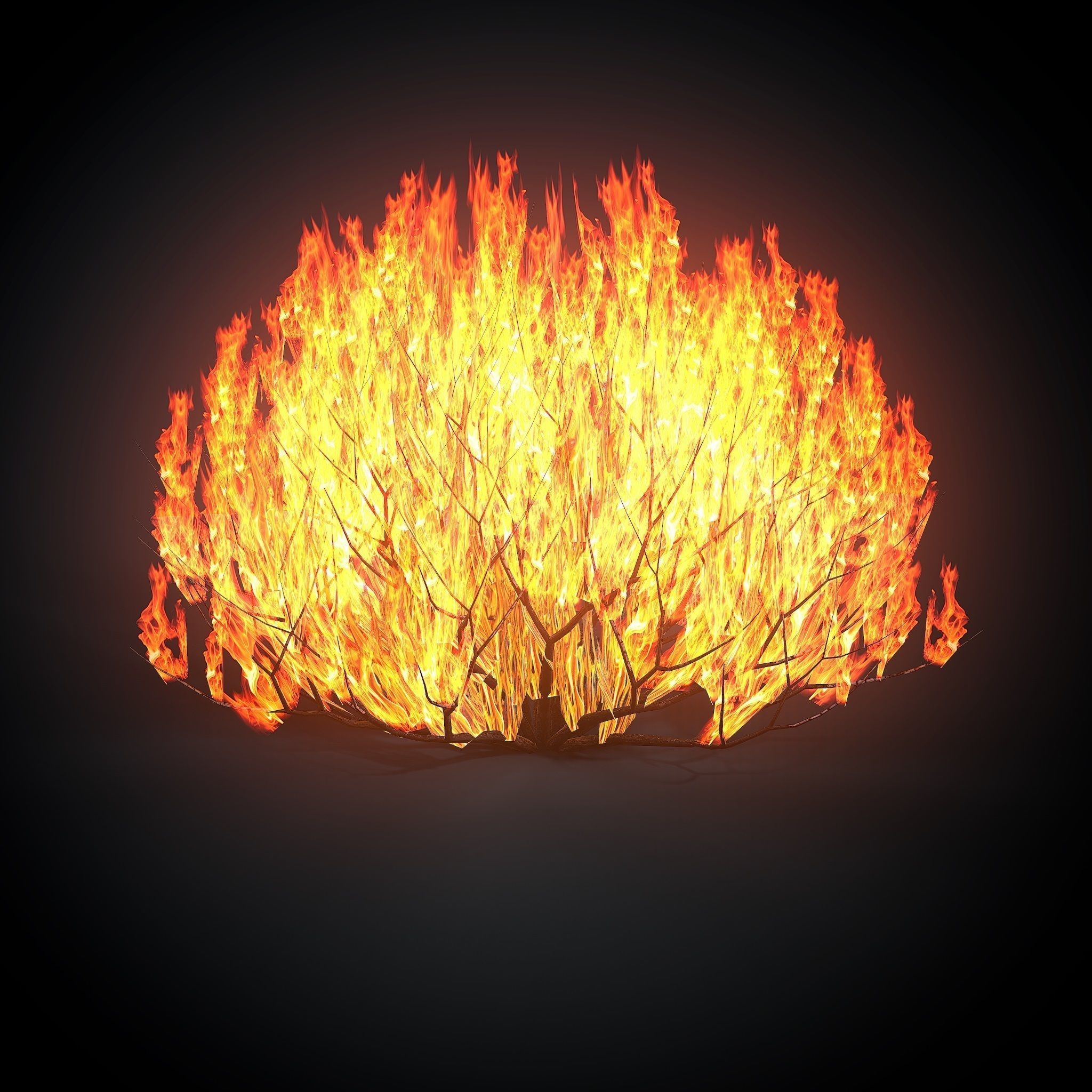 Burning bush Low-poly 3D model_1