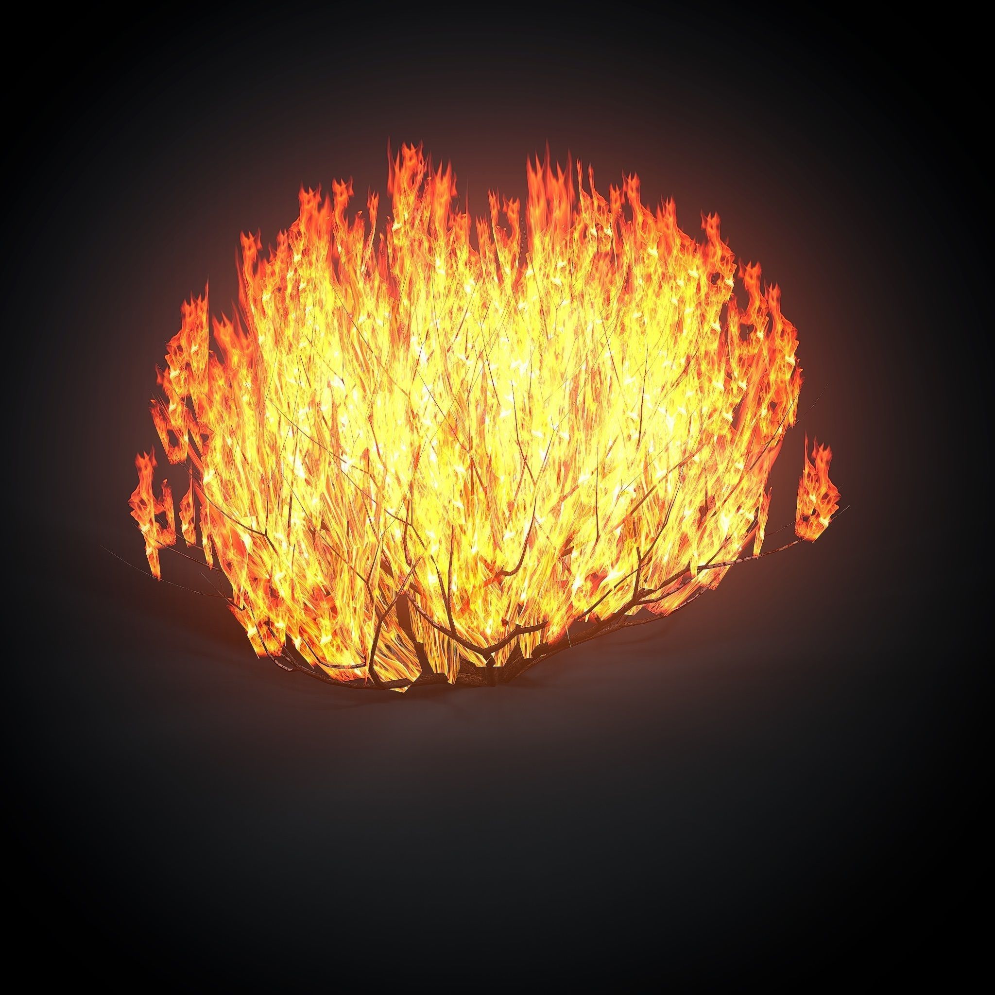 Burning bush Low-poly 3D model_5