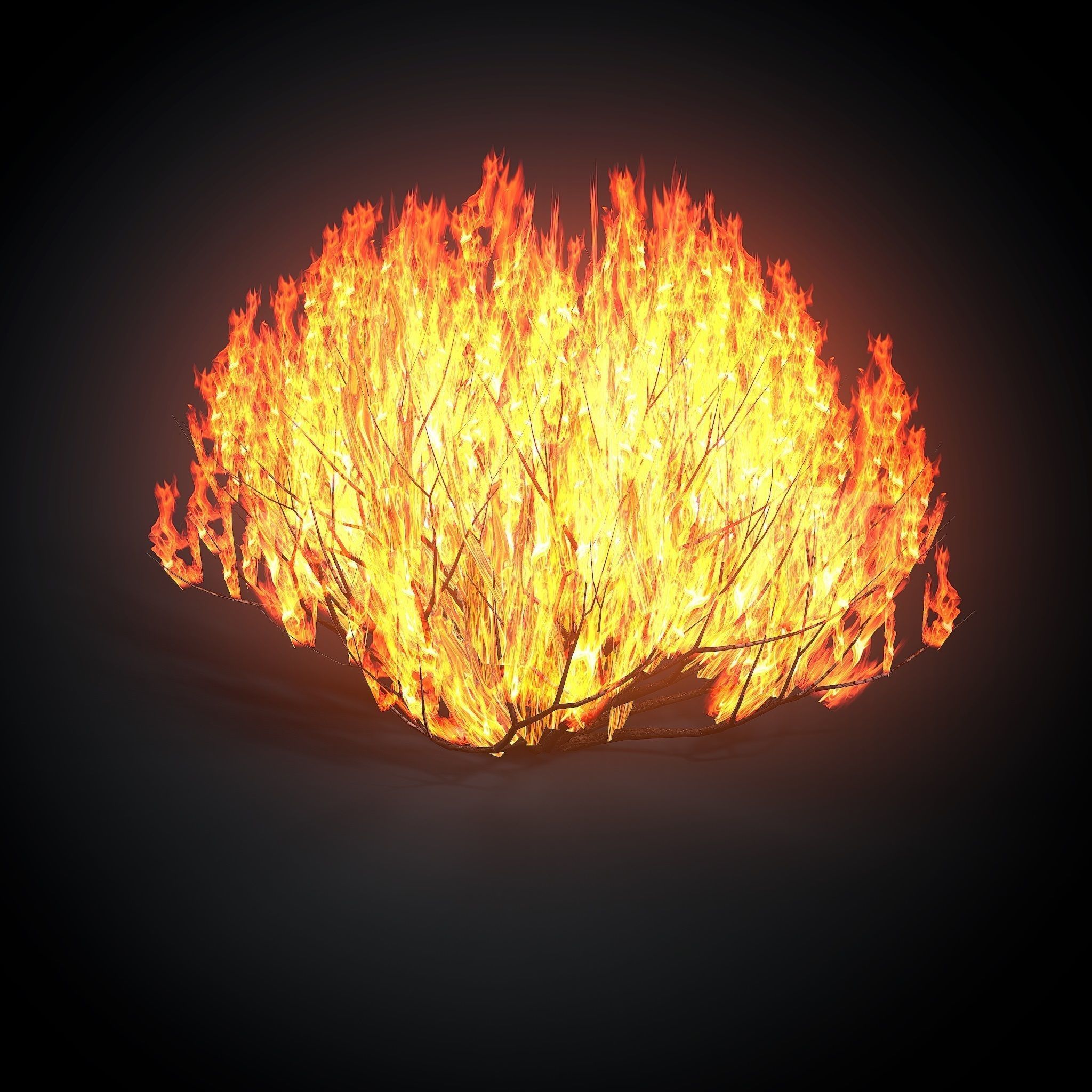 Burning bush Low-poly 3D model_3