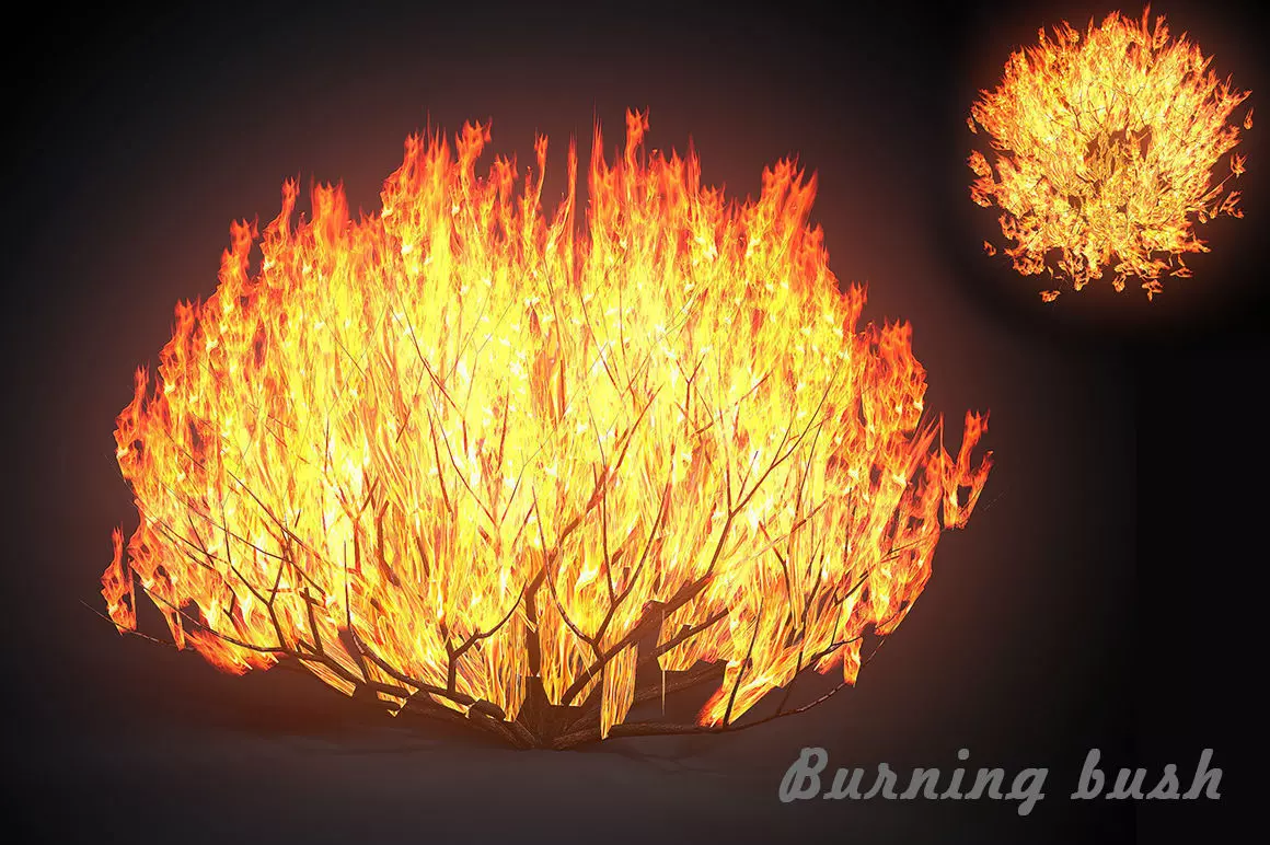 Burning bush Low-poly 3D model_0