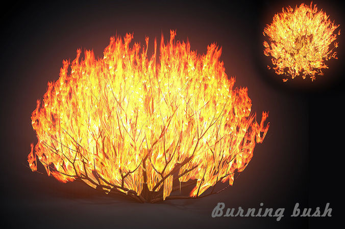 Burning bush Low-poly 3D model