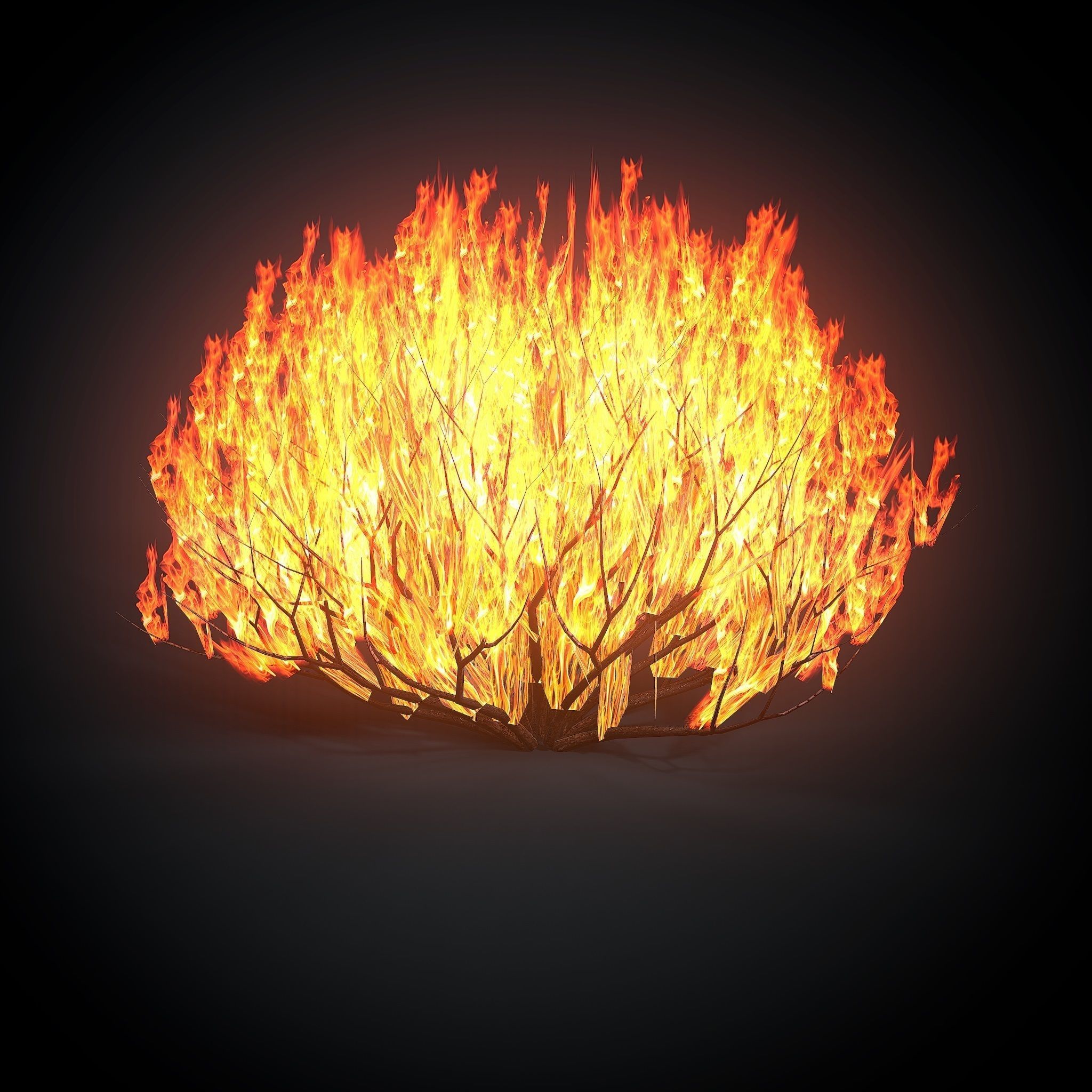 Burning bush Low-poly 3D model_2