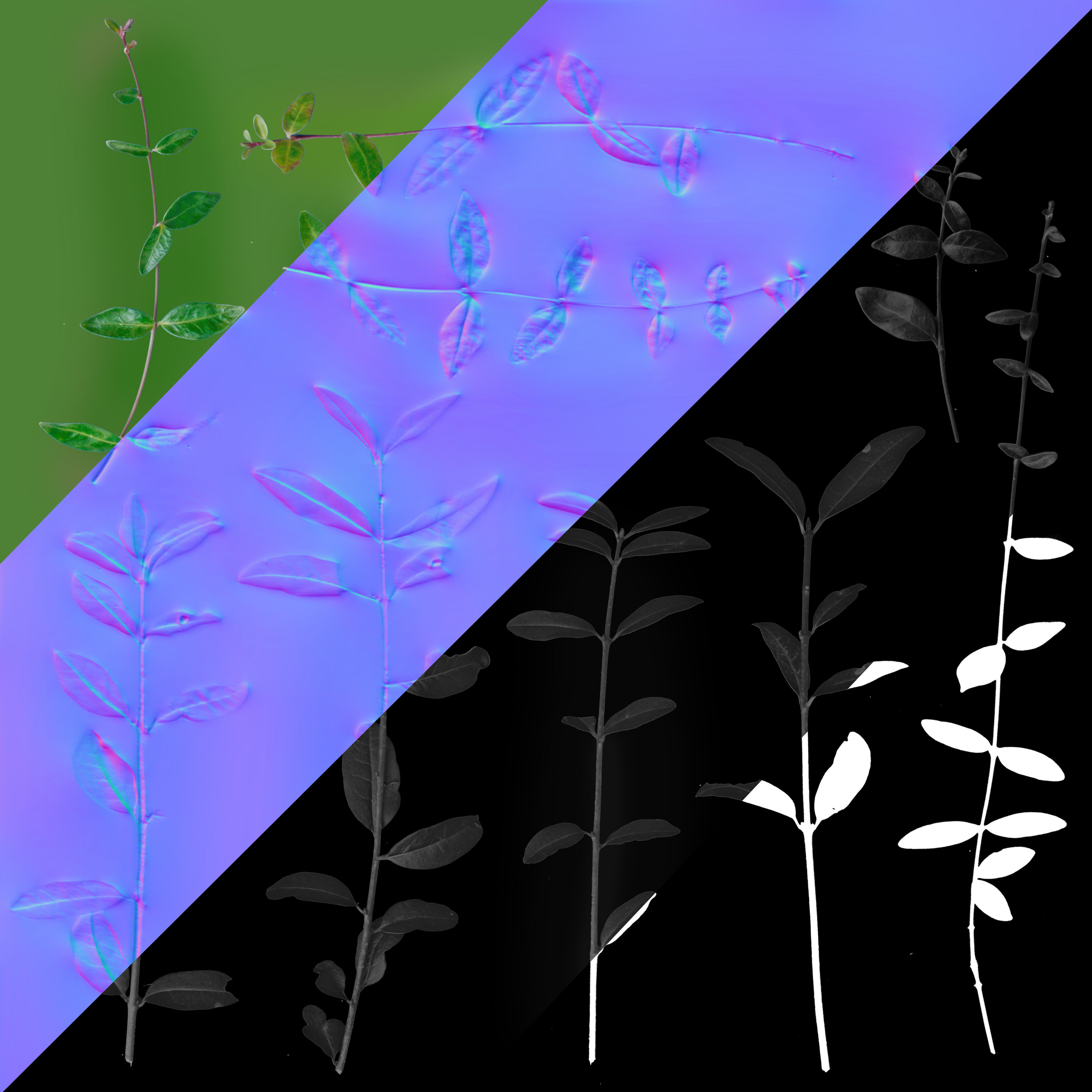 nordic forest plants B collection Low-poly 3D model_8