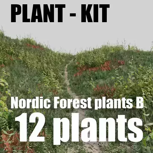 nordic forest plants B collection
